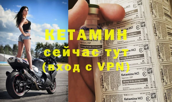 кокс Дмитриев