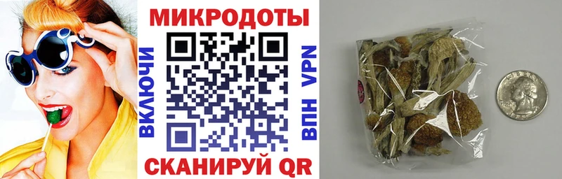 Галлюциногенные грибы Magic Shrooms  кракен ссылки  Шадринск 