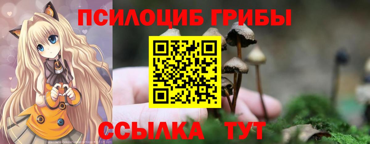 Шадринск  Галлюциногенные грибы мухоморы  Вход с VPN 