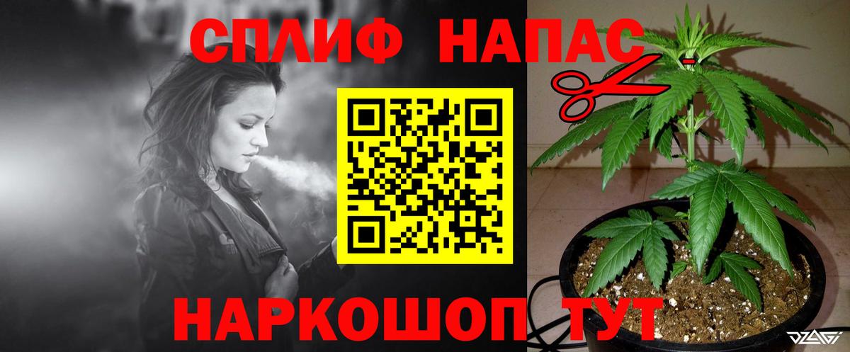 Бошки Шишки гибрид Шадринск